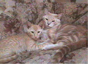 Sweethearts