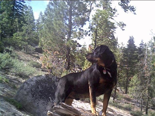 On Alert