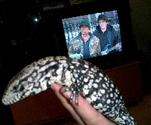 Goliath and me watching the Chappelle Show