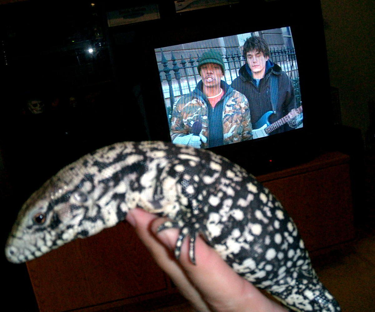 Goliath and me watching the Chappelle Show