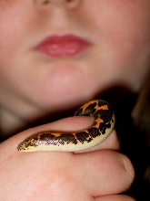 a girl and her snake