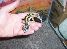 Latest pic of my girl:)