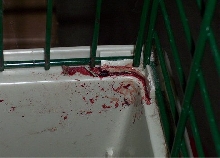 Cage