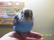 My Baby Boy Duncan