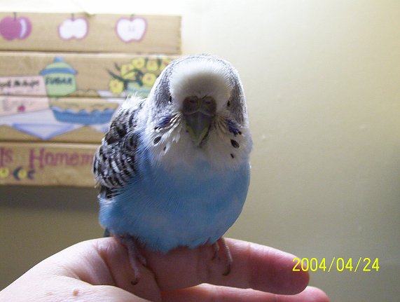 My Baby Boy Duncan