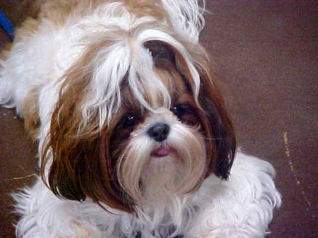 MollyB