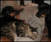 Heidi, Paige, Monster