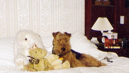 Early night