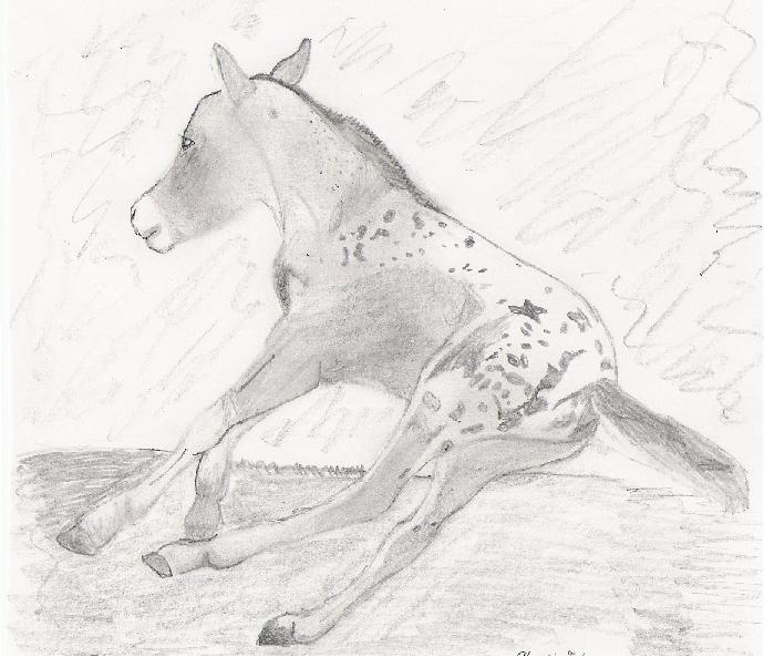 filly