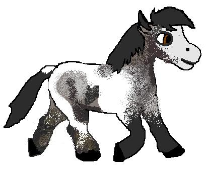 Blue roan pinto