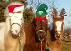 Krackerjack, Red and Queenie