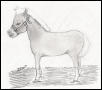 filly 3