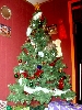 Cat in the Christmas tree