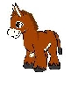 Donkey pic