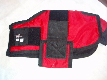 foal blanket