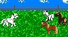 herd