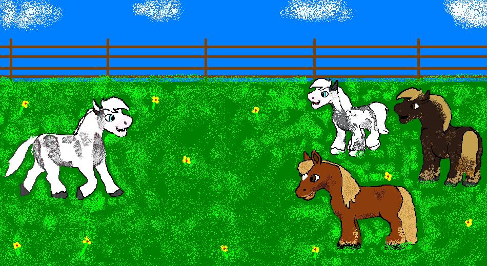 herd