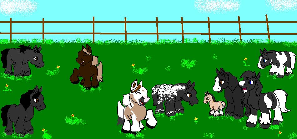 Herd Picture