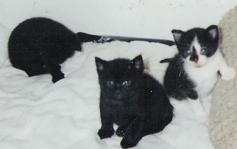 babies