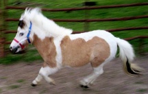 kj2