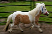 kj3