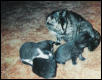 mom and babies