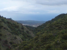 alazanes2