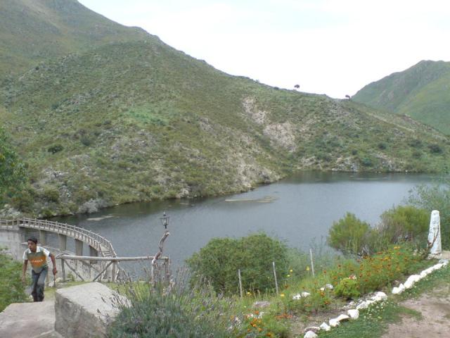 alazanes3