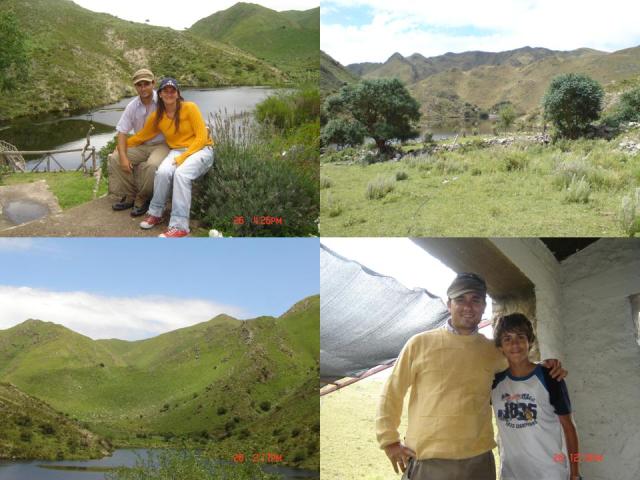 alazanes7
