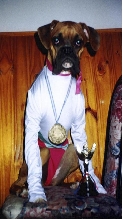 My gymnastic boxer