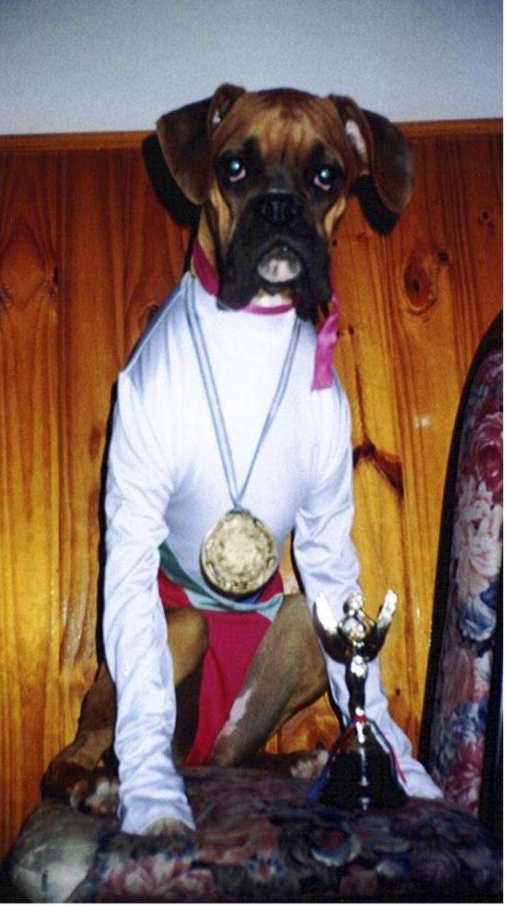 My gymnastic boxer