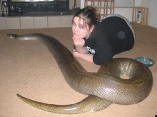 Isis and Cass