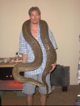 Me and my big female Green