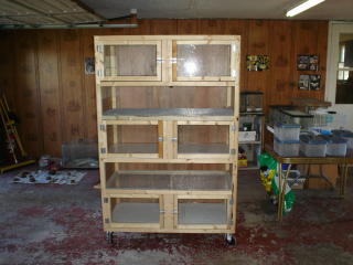 new cage