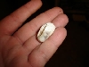 bad corn egg