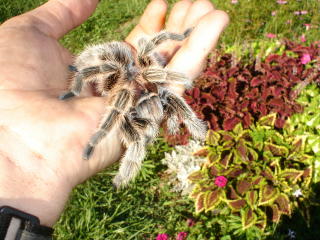 unnamed #1