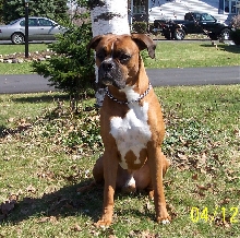 Jake 1