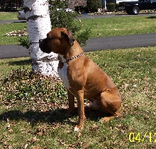 Jake 2
