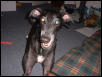 Indy, smiling!