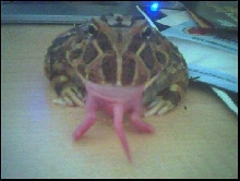 Butch Walker enjoying a meal