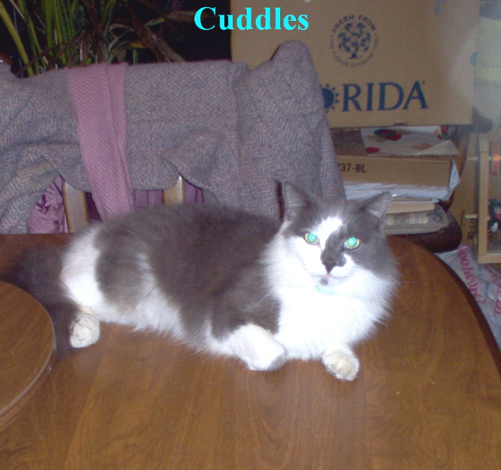 Cuddles