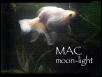 Mac Moonlight