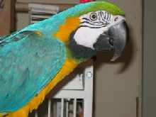 MY BIG BUDDY