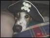 Arrgh, Matey!