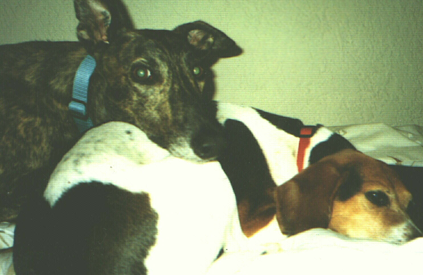 Best Friends!