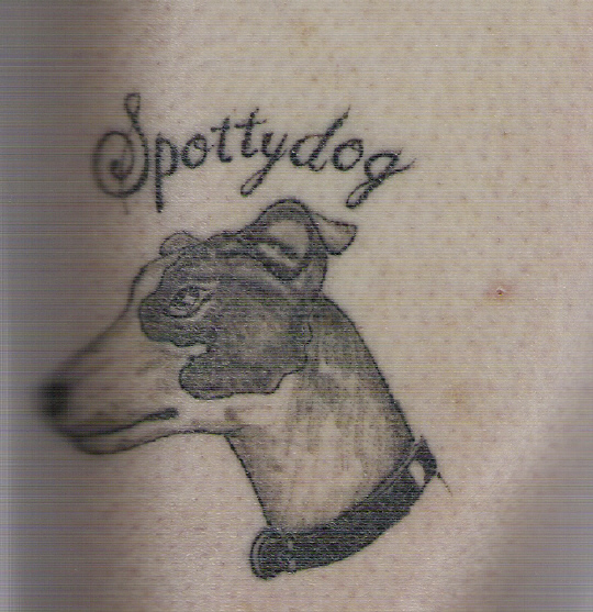My Spottydog tattoo!