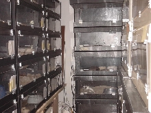 cages1