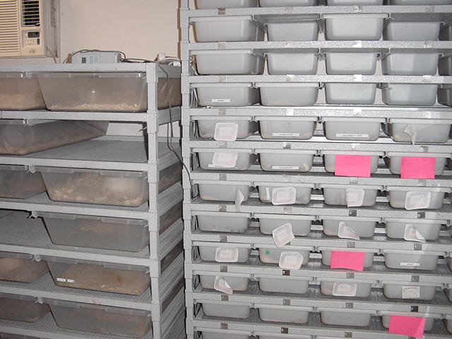 cages2