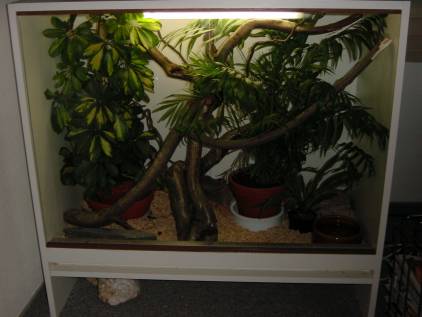Mandarin cage