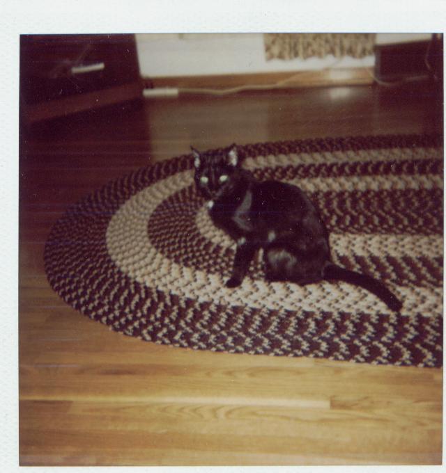 Cat Angel Greta, 1983-1999